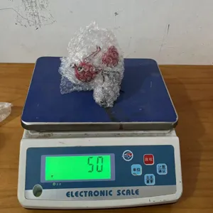 Iron ant snail ornament detail view, wrapped in bubble wrap on scale showing weight.