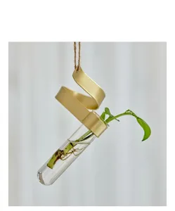 Modern hydroponic glass test tube vase with elegant gold metal frame for chic decor.