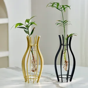 Modern glass hydroponic metal vase set, minimalist tabletop plant terrarium for home decor.