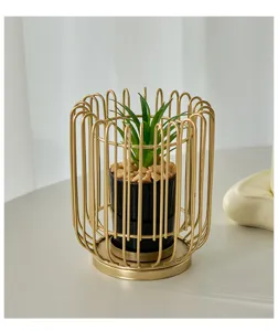 Detail shot of a modern minimalist gold iron wire cage potted plant decor for stylish home.