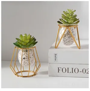 Minimalist gold metal frame glass hydroponic vase with green succulent desktop decoration detail.