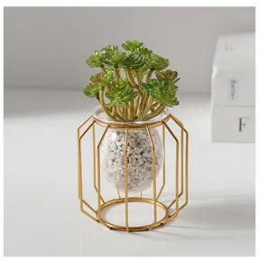 Detail view of a stylish geometric metal hydroponic glass vase with green plant and white stones.