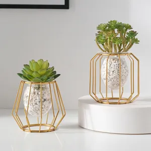 Modern Luxury Geometric Glass Vase Gold Metal Stand Hydroponic Plant Container Desktop Decoration Home Decor