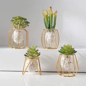 Modern gold metal geometric hydroponic glass vase with artificial succulents for home decor.