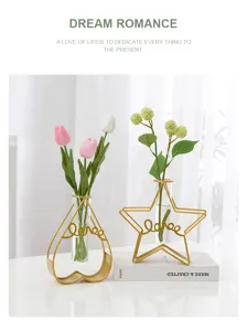 Vase de tube à essai en verre hydroponique minimaliste créatif nordique avec support en métal
