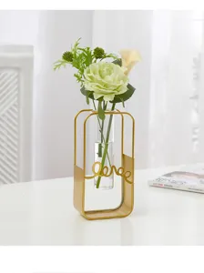 Gros plan sur les détails du vase hydroponique en métal doré nordique avec tube en verre.
