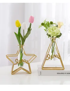 Détail de vase en verre hydroponique géométrique nordique, cadre métal fleur étoile chic