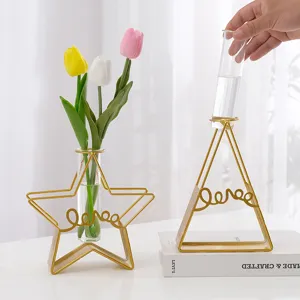 Nordisch Kreativ Einfach Hydrokultur Glas Vase Eisenkunst Geometrisches Reagenzglas Blumenpott Wohnzimmer Tisch Heim Dekor Ornament