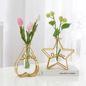 Nordischer kreativer hydroponischer Glasvase Desktop Metalldraht Blumen Dekor für Wohnzimmer
