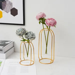 Nordischer Stil Goldenes Eisen Kunst Glas Reagenzglas Vase Kreative Wohnzimmer Esstisch Desktop Dekorative Blumenarrangement Ständer