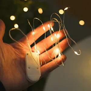 LED copper wire string lights with battery box, warm fairy lights for bedroom decor.