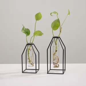 Nordisch Minimalistischer Geometrischer Eisenkunst Transparenter Glas Hydrokultur Vase Ornament Wohnzimmer Trockenblumenarrangement Heimdekoration
