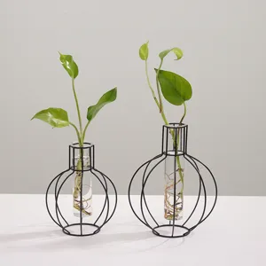 Nordisch minimalistische geometrische Eisen Glas Hydrokultur Vase Set Heimtisch Deko.