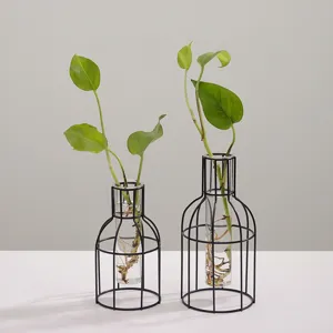 Nordische minimalistische Eisenkunst transparente Glas Hydrokultur Vase Set für Wohnkultur