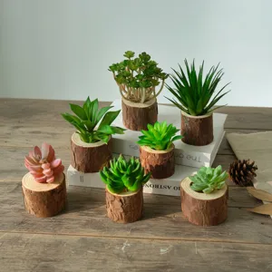Artificial succulent plants in wooden stump pots for home desktop decor and display.