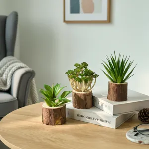 Wooden bark succulent pot set artificial green plant home desktop decoration ornament