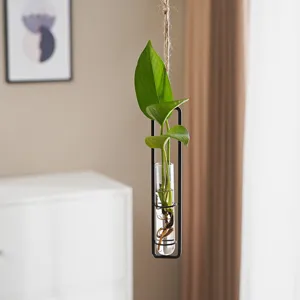 Vaso in vetro idroponico da appendere a parete minimalista nordico con struttura in ferro