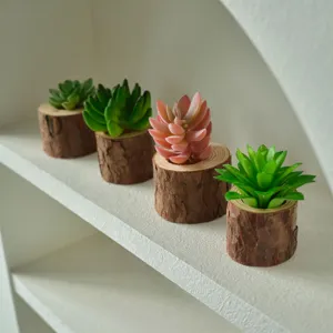 Artificial succulent plants in wood bark pots, mini rustic stump flower pots for home decor.