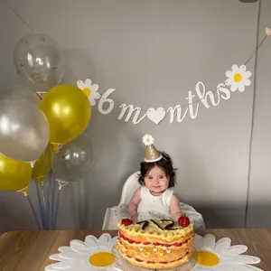 Cute baby 6 months birthday party banner decoration with daisy and letters for cute kids photo.