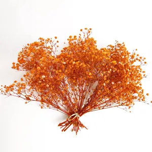 Natural Dried Baby's Breath Flowers Bouquet Real Preserved Flowers For Wedding Home Decor DIY Floral Arrangements Gift