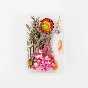 Gemischte getrocknete gepresste Blumen Bastelset für Kunstharz Handwerk und Kerzen DIY.