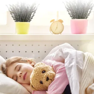 Cozy bedroom scene with dried eucalyptus lavender in pots and sleeping child with cute teddy bear.