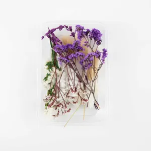Trockene Blumen gepresste Blumen Set für DIY Epoxidharz Kerzen Kunst Handwerk Basteln