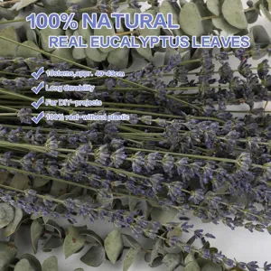 Natural dried eucalyptus leaves and lavender bunch, 10 stems, ideal for home decor and DIY crafts.