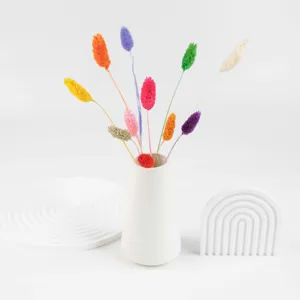 Bunte getrocknete Hasenschwanzgras Blumen mit weisser Keramikvase fuer moderne Deko.