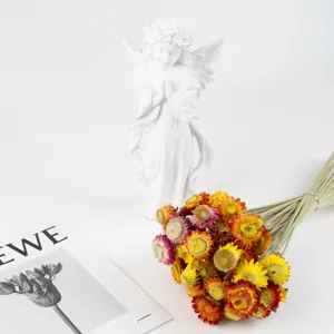 Bouquet di fiori secchi di elicriso naturali colorati per decorazione casa e fai da te.