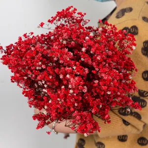 Close-up detail of a vibrant red dried baby's breath flower bouquet for home decoration.