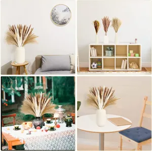 Dried pampas grass bouquet set for home wedding decor, natural fluffy floral arrangement.