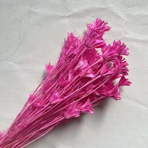 Pink dried star flowers bundle natural botanical material for DIY floral craft home decor details