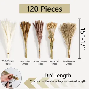 120 Pcs Dried Pampas Grass Bunny Tails Reed Bouquet Natural Floral Wedding Decor DIY