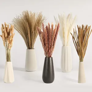 Natural Dried Pampas Grass Bouquet Rabbit Tail Grass Reed Dried Flowers For Home Wedding Party Decor Floral Arrangement