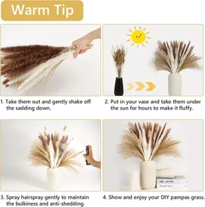Natural dried pampas grass bouquet bunny tails reed floral arrangement for home wedding decor.