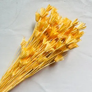 Natural yellow dried flowers bouquet for home decoration and DIY floral arrangement design.