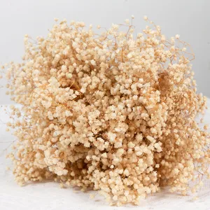 Natural dried baby's breath bouquet for home decoration, beautiful floral arrangement.
