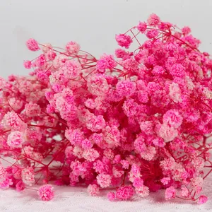 Pink preserved baby's breath dried flower bouquet for home decoration and floral arrangements.