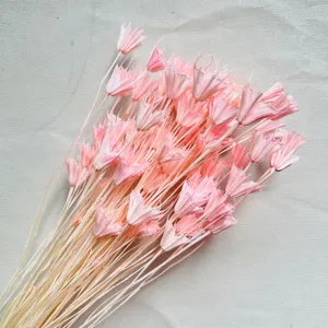 Pink dried flowers bundle for home decor floral arrangement and DIY craft making details.