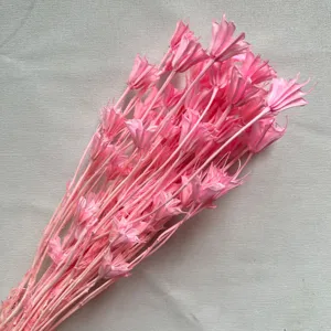 Dried pink starflower botanical detail shot for DIY floral arrangement and home decor.