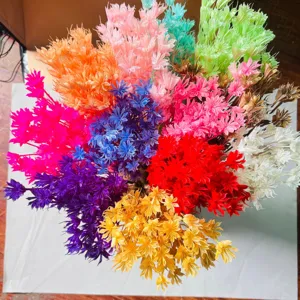 Colorful dried star flowers for DIY floral arrangement, home decor, and Valentine's day.