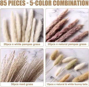 85 Pcs Dried Pampas Grass Bouquet Natural Reed Grass Bunny Tails 5-Color Combo Decor