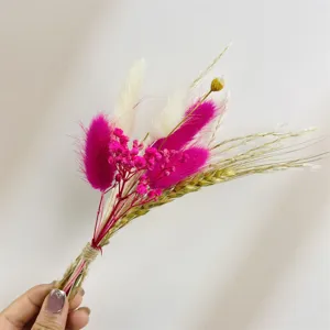 Mini bouquet di fiori secchi regalo DIY squisito decorazione floreale eterna vera pianta romantica