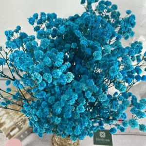 Blue preserved baby's breath dried flower bouquet for gift box wedding home decor.