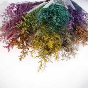 Dettaglio mazzo di fiori di statice secchi colorati per decorazioni per la casa e floreali.