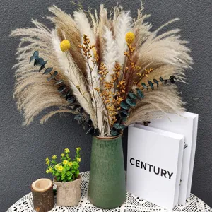 Natural Dried Flower Bouquet Pampas Grass Eucalyptus Golden Balls Boho Floral Arrangement For Home Decor