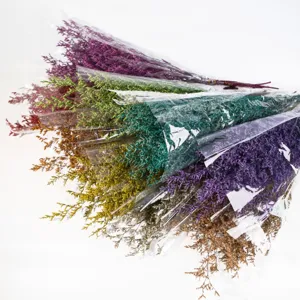 Dettaglio in primo piano di fiori di statice secchi colorati in confezione per casa.
