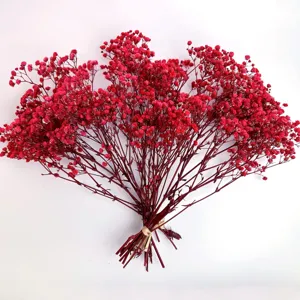 Red dried baby's breath gypsophila bouquet detail shot for home decor and wedding floral design.