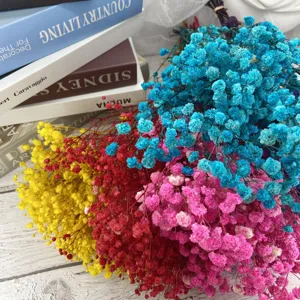 Mini dried baby's breath flowers bouquet for home decor, photography props, and gifts.